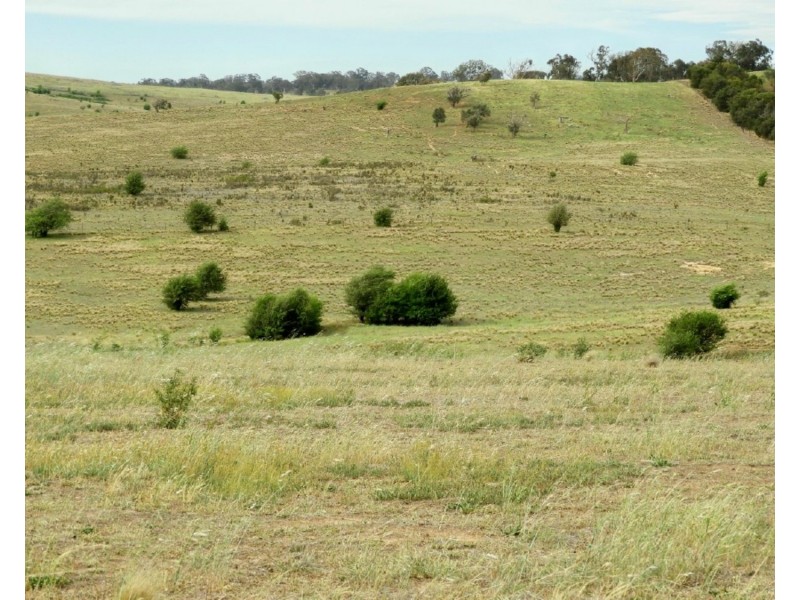 Lot 23 Pomeroy Road, Goulburn NSW 2580