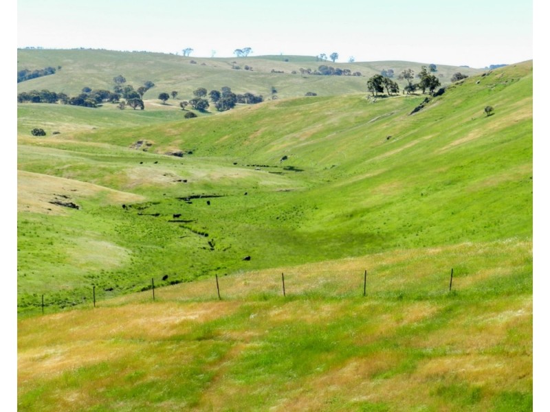 2288 Gurrundah Road, Goulburn NSW 2580