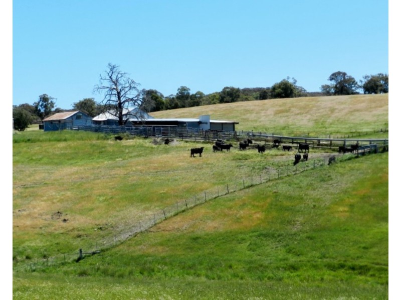 2288 Gurrundah Road, Goulburn NSW 2580