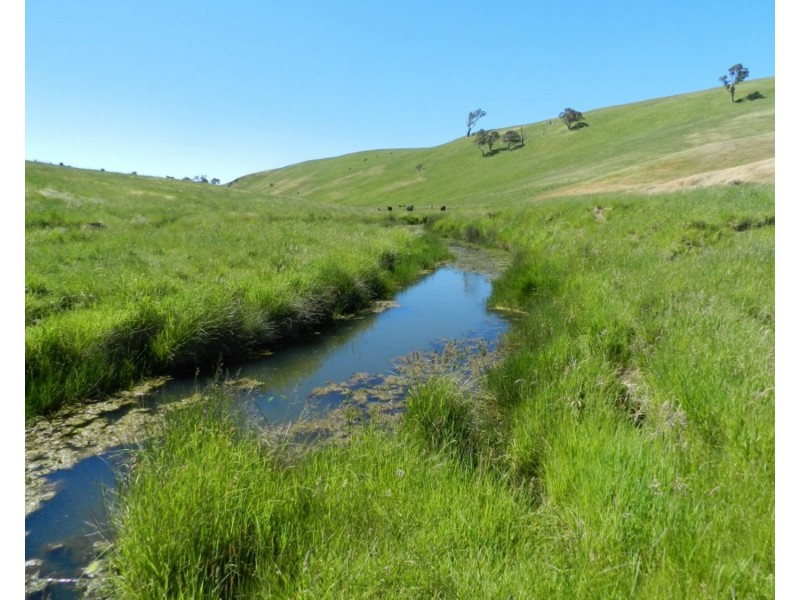 2288 Gurrundah Road, Goulburn NSW 2580