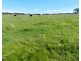 2288 Gurrundah Road, Goulburn NSW 2580