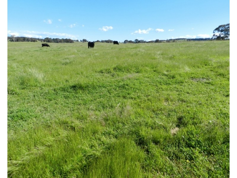 2288 Gurrundah Road, Goulburn NSW 2580