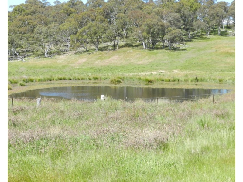 2288 Gurrundah Road, Goulburn NSW 2580