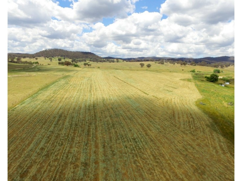 513 Cooksvale Road, Peelwood NSW 2583