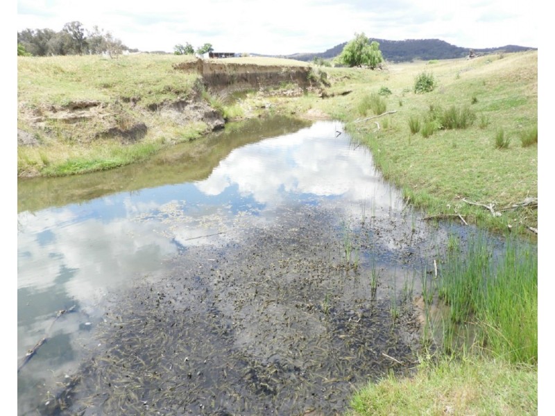 513 Cooksvale Road, Peelwood NSW 2583