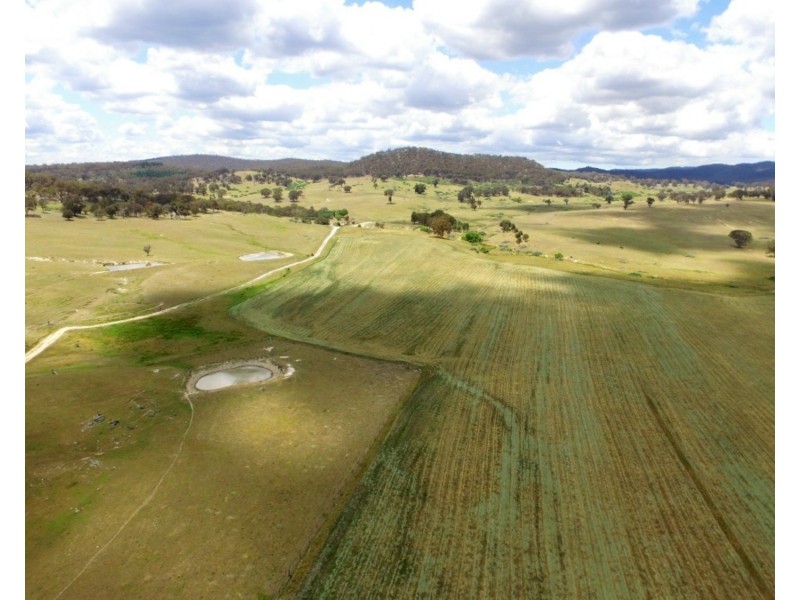 513 Cooksvale Road, Peelwood NSW 2583