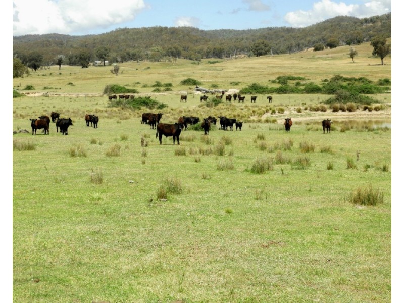 513 Cooksvale Road, Peelwood NSW 2583