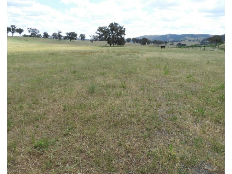 513 Cooksvale Road, Peelwood NSW 2583