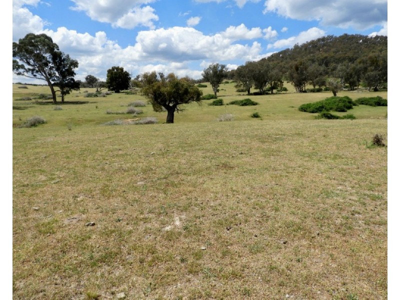 513 Cooksvale Road, Peelwood NSW 2583