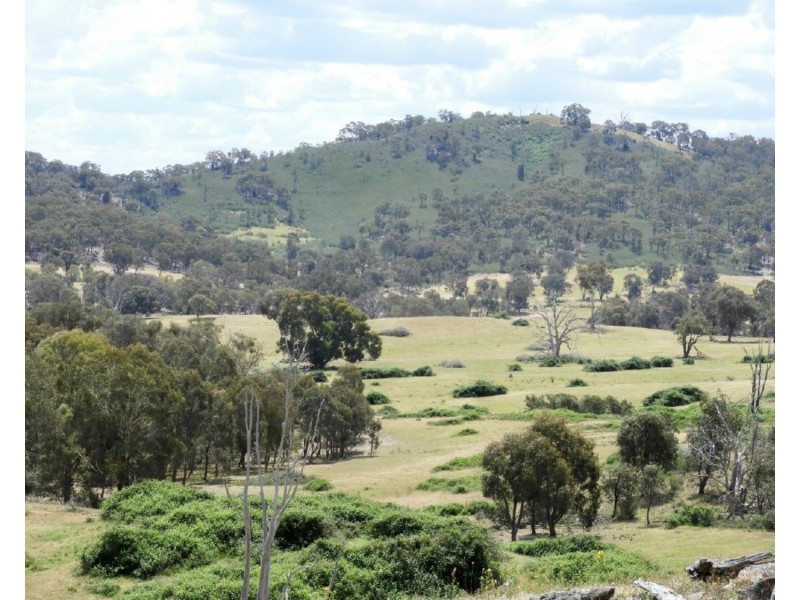 513 Cooksvale Road, Peelwood NSW 2583