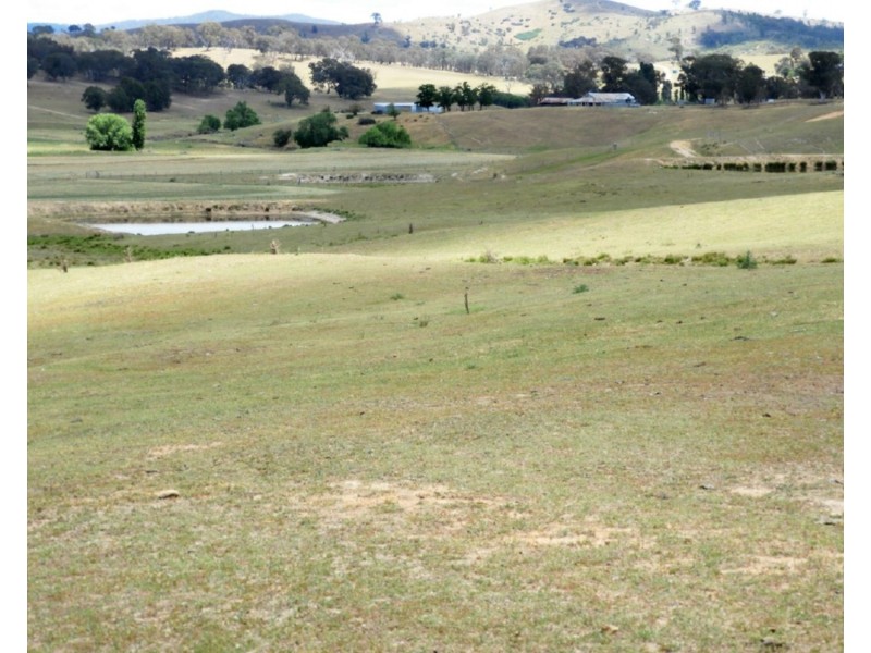 513 Cooksvale Road, Peelwood NSW 2583