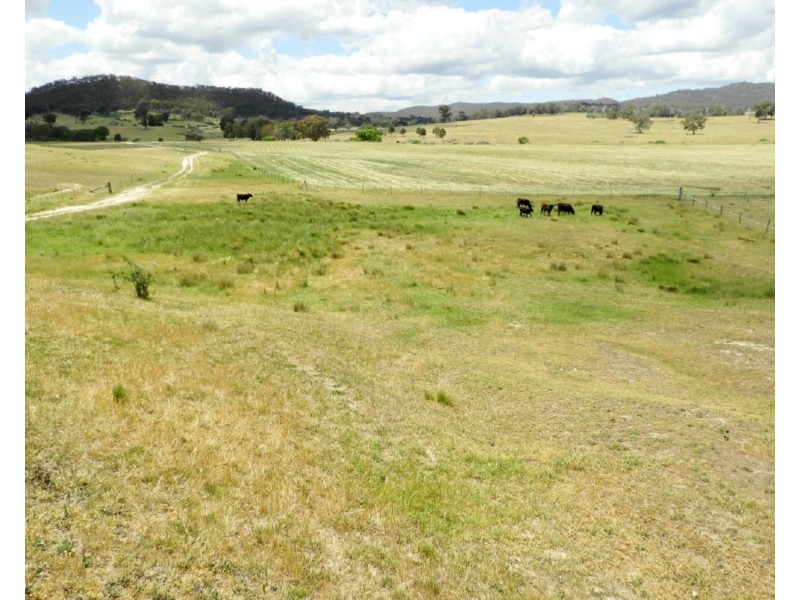 513 Cooksvale Road, Peelwood NSW 2583