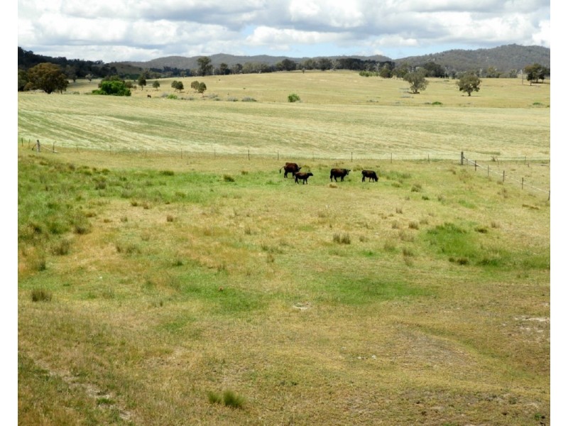 513 Cooksvale Road, Peelwood NSW 2583