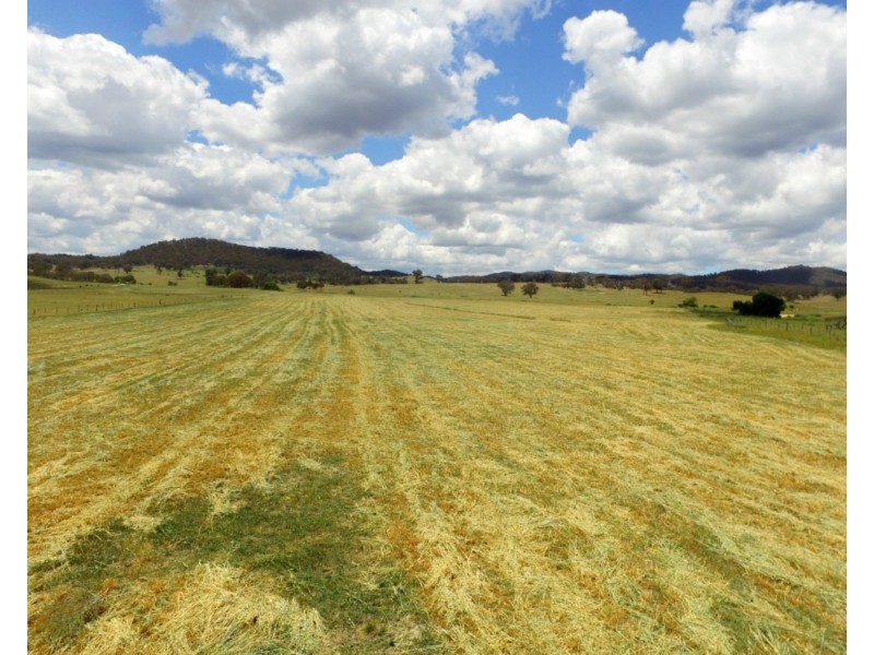 513 Cooksvale Road, Peelwood NSW 2583