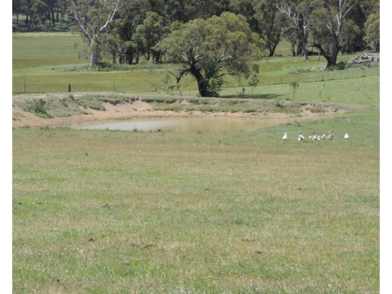 5516 Taralga Road, Taralga NSW 2580