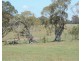 5516 Taralga Road, Taralga NSW 2580