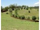 600 Hanworth Road, Bannaby NSW 2580