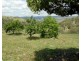 600 Hanworth Road, Bannaby NSW 2580