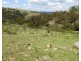 600 Hanworth Road, Bannaby NSW 2580