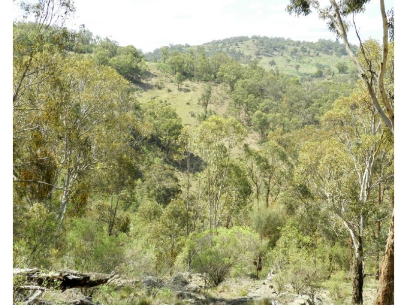 600 Hanworth Road, Bannaby NSW 2580