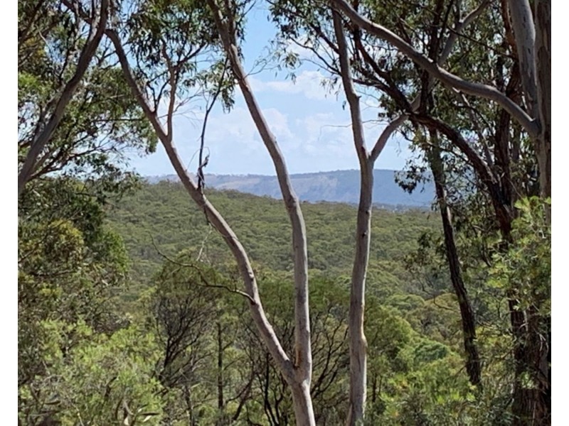 604 Lucky Pass Road, Currawang NSW 2580