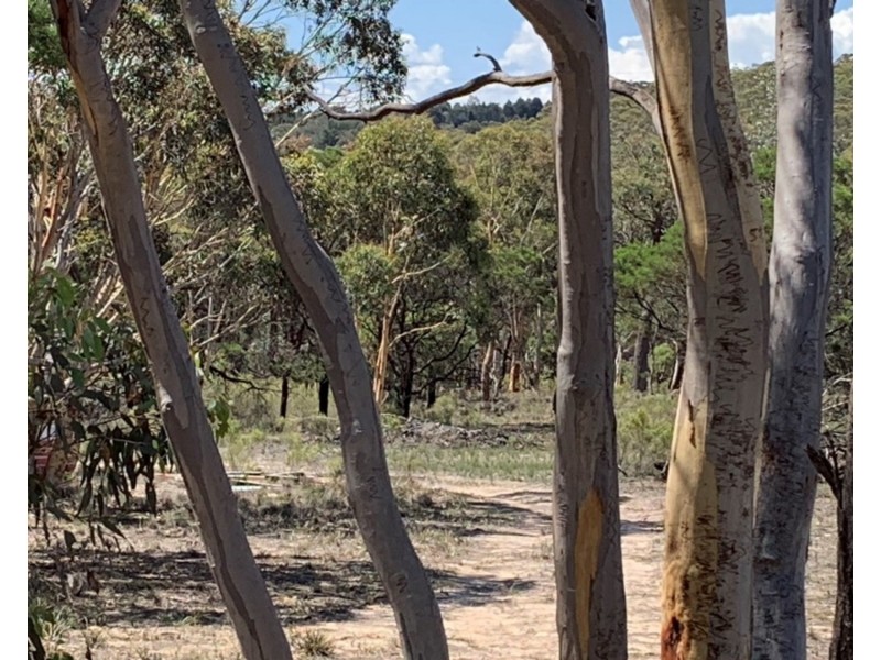 604 Lucky Pass Road, Currawang NSW 2580