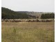 Lot 1 Karinya Road off Kangaloolah Road, Binda NSW 2583