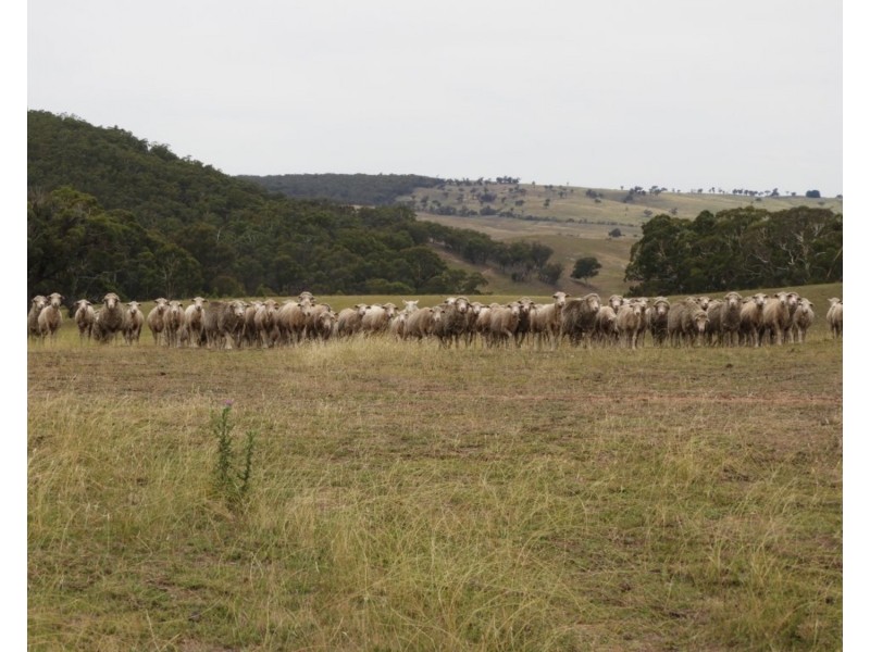 Lot 1 Karinya Road off Kangaloolah Road, Binda NSW 2583