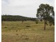 Lot 1 Karinya Road off Kangaloolah Road, Binda NSW 2583