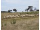 Lot 1 Karinya Road off Kangaloolah Road, Binda NSW 2583