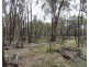 1711 Bigga Road, Bigga NSW 2583