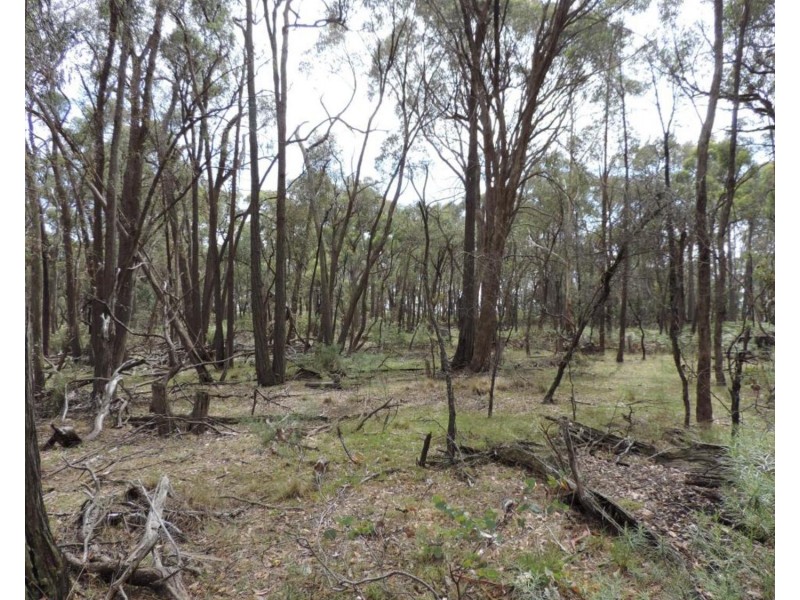 1711 Bigga Road, Bigga NSW 2583