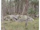1711 Bigga Road, Bigga NSW 2583