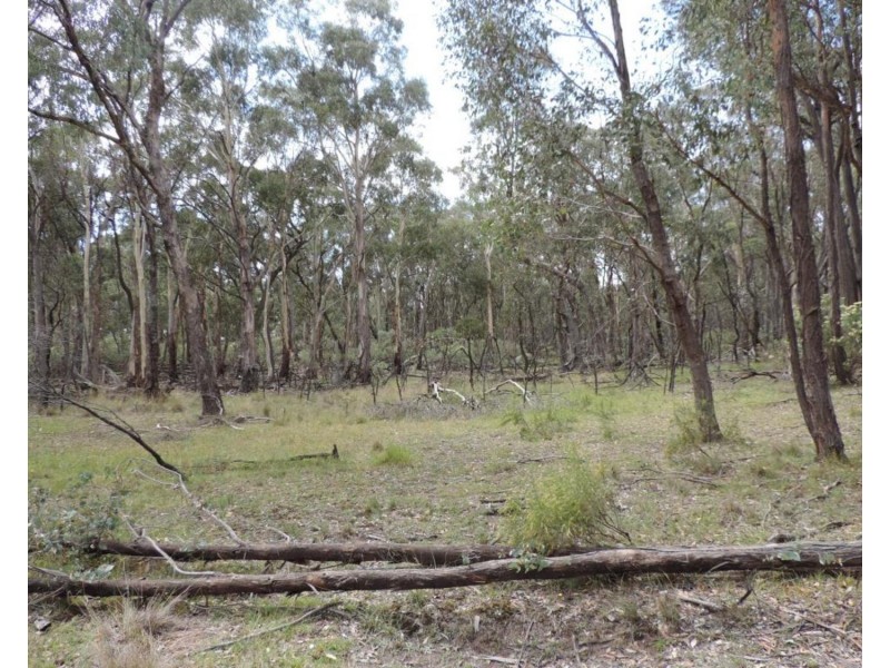 1711 Bigga Road, Bigga NSW 2583