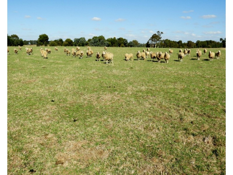 3150 Range Road, Goulburn NSW 2580