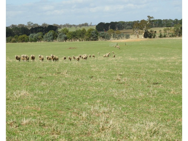 3150 Range Road, Goulburn NSW 2580