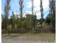 Lots 5, 6 & 7 Binda Street, Bigga NSW 2583