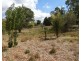 Lots 5, 6 & 7 Binda Street, Bigga NSW 2583