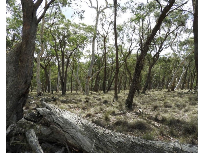 107 Old Station Creek Road, Taralga NSW 2580