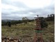 388  Long Gully Road, Bannaby NSW 2580