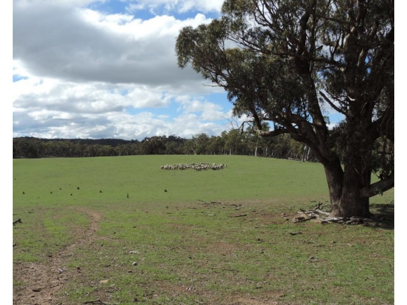 Lot 85 Golspie Road, Taralga NSW 2580