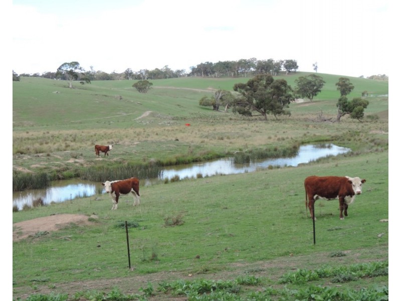 Lot 85 Golspie Road, Taralga NSW 2580