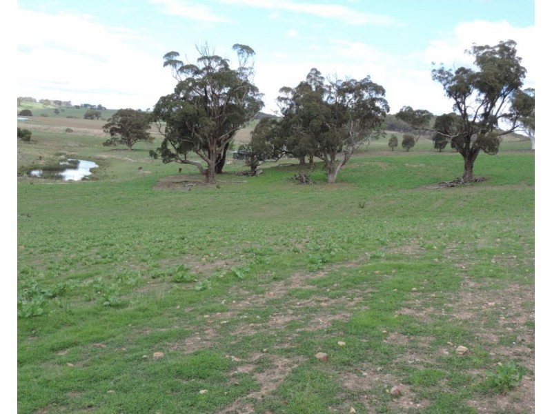 Lot 85 Golspie Road, Taralga NSW 2580