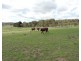 Lot 85 Golspie Road, Taralga NSW 2580