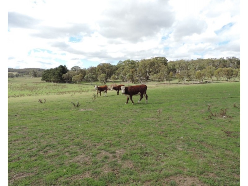 Lot 85 Golspie Road, Taralga NSW 2580