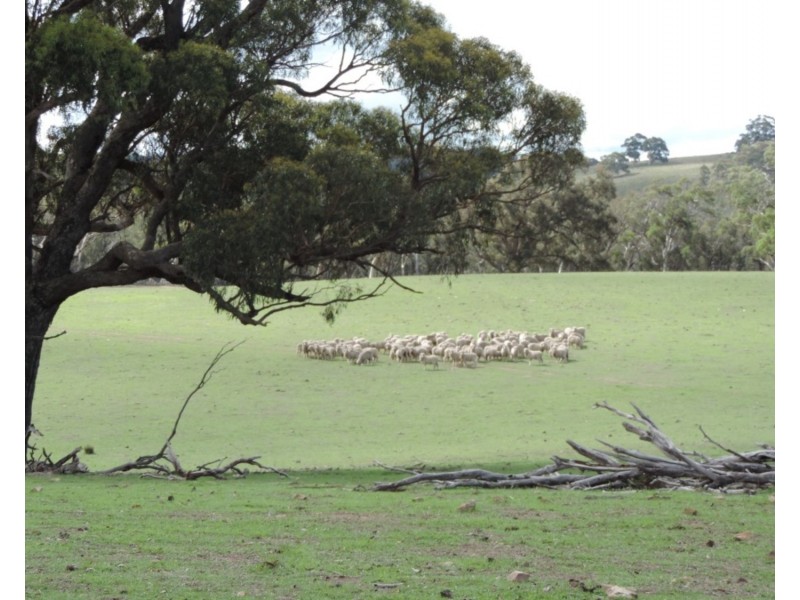 Lot 85 Golspie Road, Taralga NSW 2580