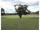 Lot 85 Golspie Road, Taralga NSW 2580