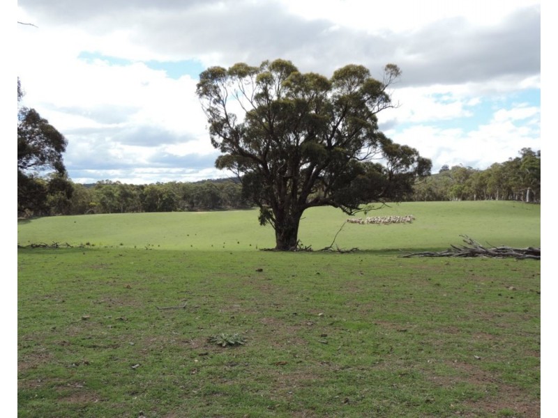 Lot 85 Golspie Road, Taralga NSW 2580