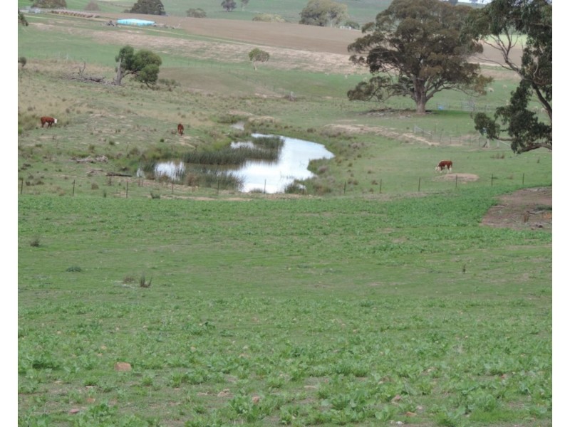 Lot 85 Golspie Road, Taralga NSW 2580
