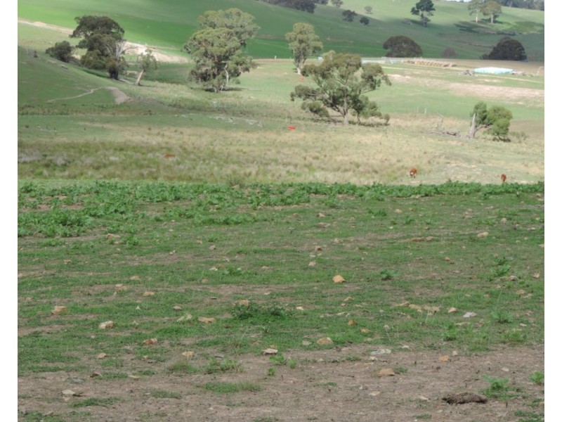 Lot 85 Golspie Road, Taralga NSW 2580